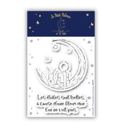 Le Petit Prince® - Les étoiles sont belles